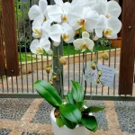 Bunga Rangkaian Anggrek 2 Tangkai RAG-002