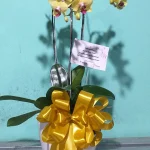 Bunga Rangkaian Anggrek 3 Tangkai RAG-003