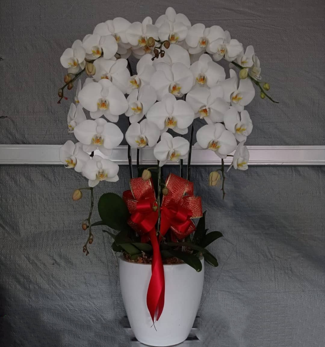 Bunga Rangkaian Anggrek 6 Tangkai RAG-006