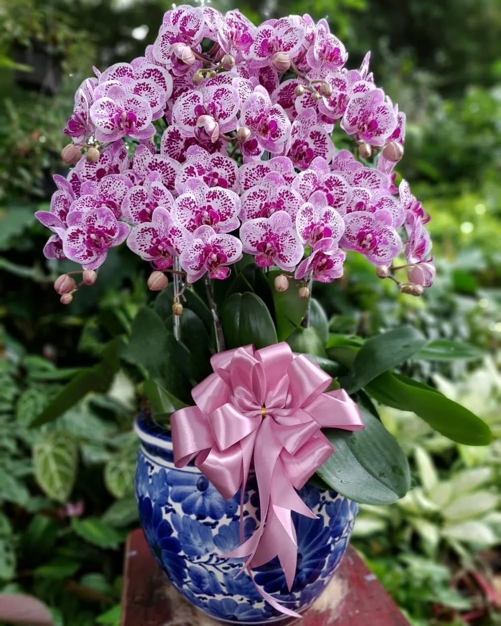 Bunga Rangkaian Anggrek 9 Tangkai RAG-009