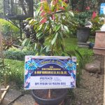 Bibit Pohon Ucapan BUP-01